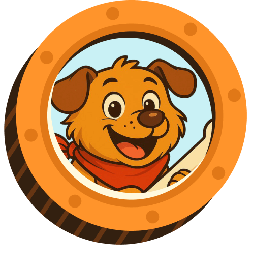 Token Information Illustration